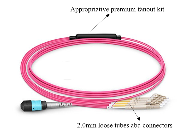 MPO patch cord MPO To LC 24 48 96 Core Multimode / Single Mode Breakout Fiber Optical Cable MPO To LC LSZH optical jumper detail 1